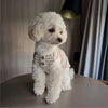 A fluffy white dog wearing a knitted vest with light pink stripes, sitting on a table.