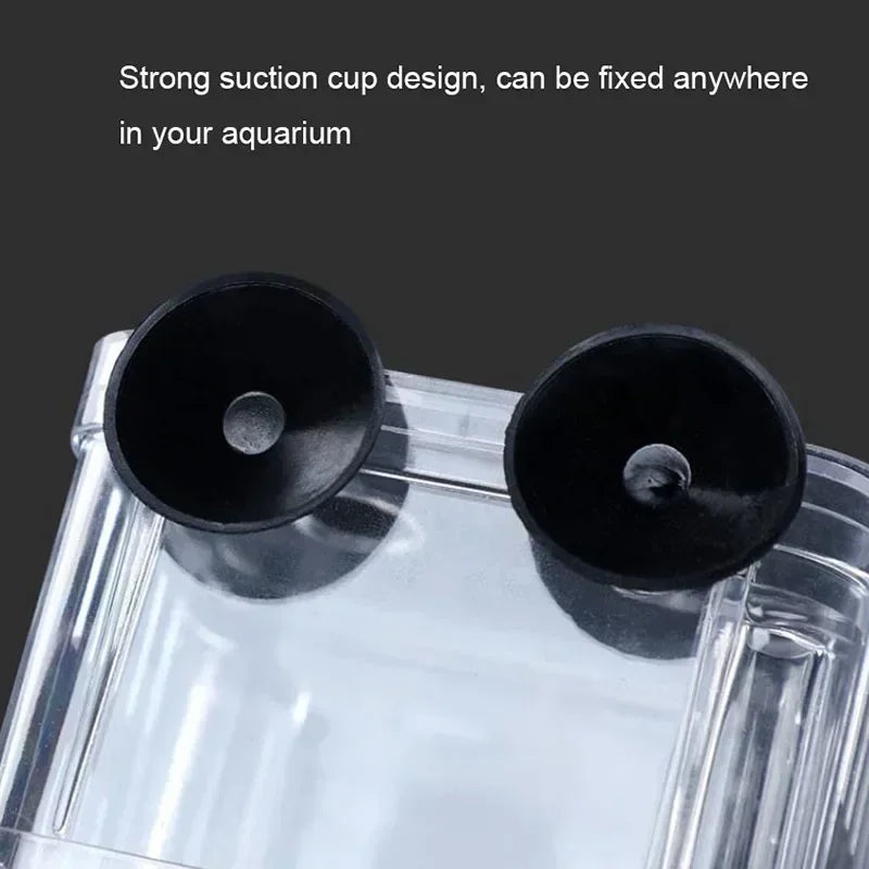 Acrylic Fish Breeding Isolation Box with Double Compartments