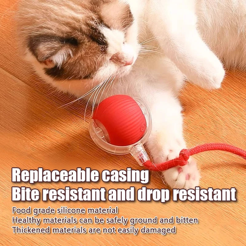 Eine Katze interagiert mit einem roten Silikon-Rollspielzeug für Haustiere, das gegen Zerknirschung und Herabfallen resistent