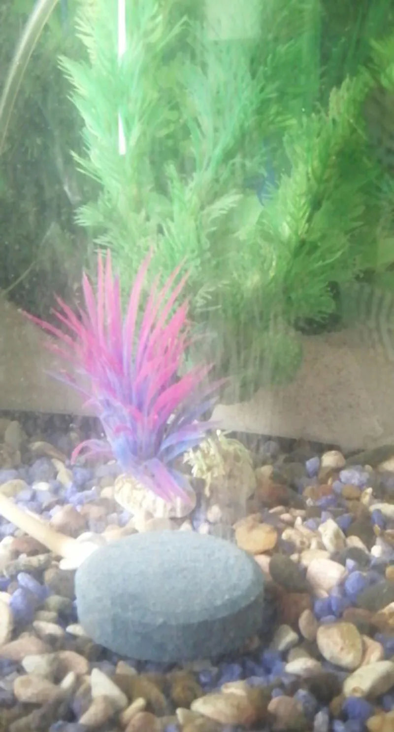 Aquarien-Bubble-Stone-Lüfter