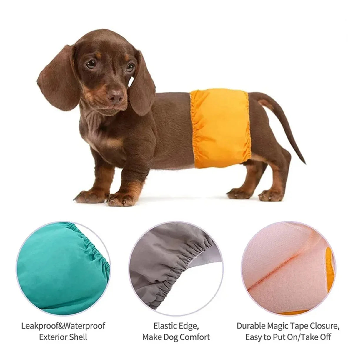 A brown dog wearing an orange reusable cotton belly band for comfort and protection.