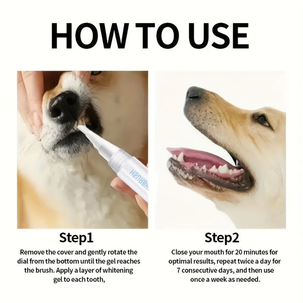 Instructions showing how to use a dental cleaning pen for dogs, including applying gel and using the brush.