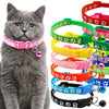 A fluffy gray kitten wearing a pink adjustable pet collar with a bell.