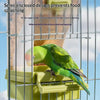 A green parrot is feeding from a semi-enclosed bird feeder with a transparent window and multi-angle baffle.