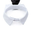 Corbata y Pajarita Formal para Mascotas