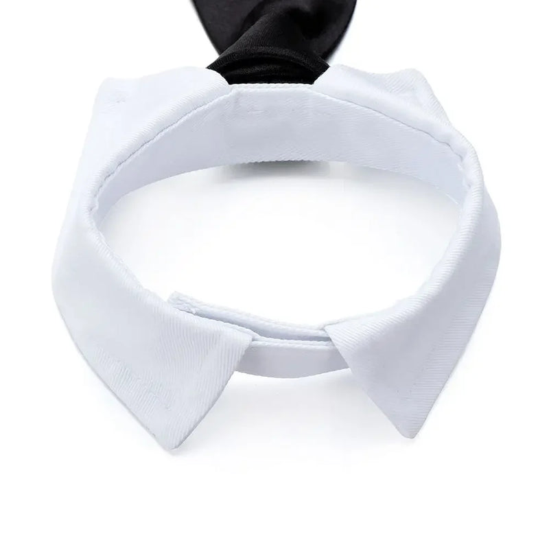 Corbata y Pajarita Formal para Mascotas