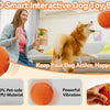 Interactive Automatic Rolling Dog Ball with Motion Activation