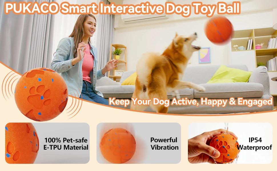 Interactive Automatic Rolling Dog Ball with Motion Activation