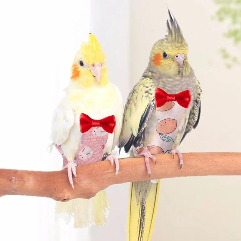 Combinaison de vol pour perroquet avec nœud papillon