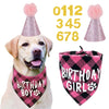 A golden retriever wearing a pink fuzzy hat and a pink and black plaid birthday bandana.