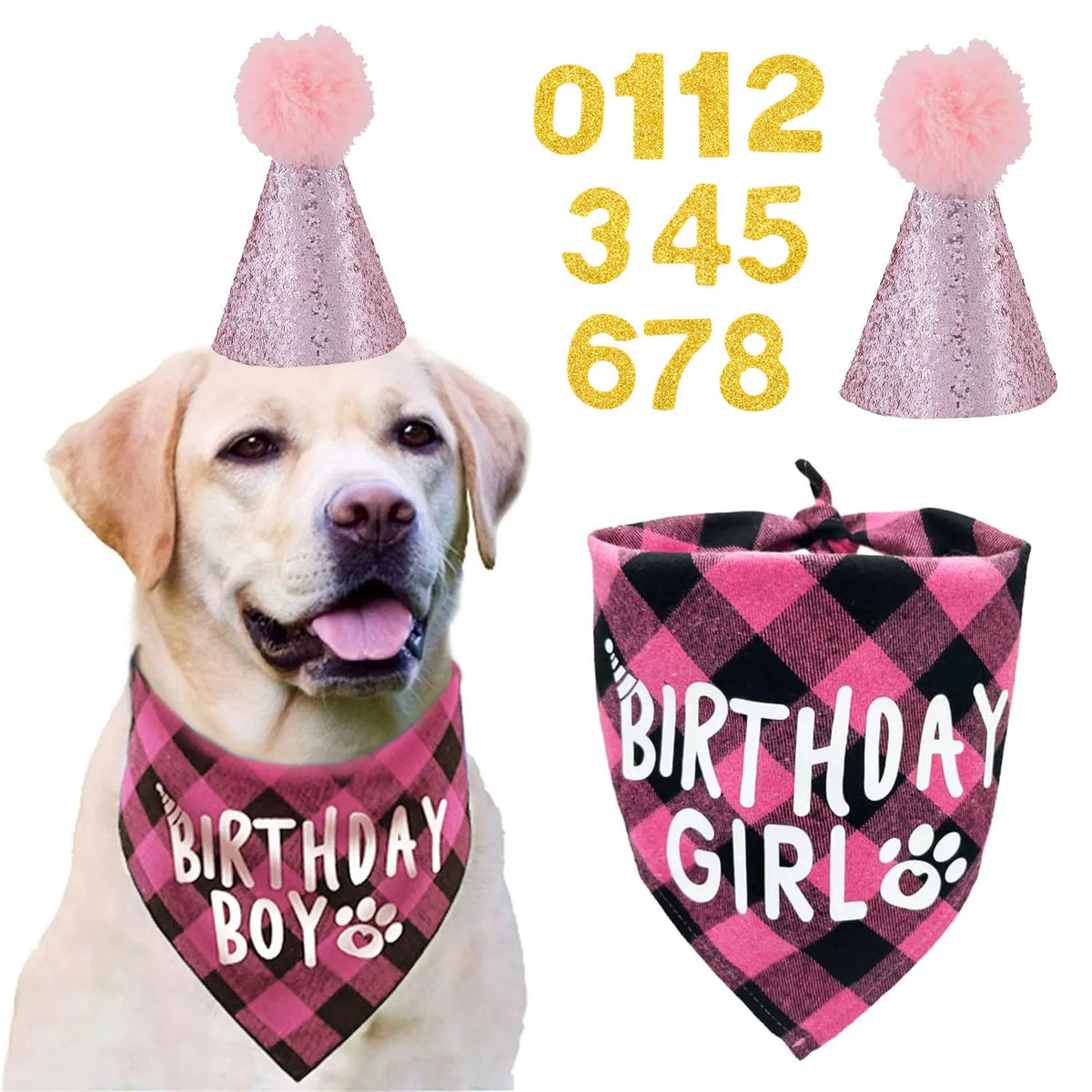 A golden retriever wearing a pink fuzzy hat and a pink and black plaid birthday bandana.