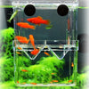 Cage d'isolement pour reproduction en aquarium
