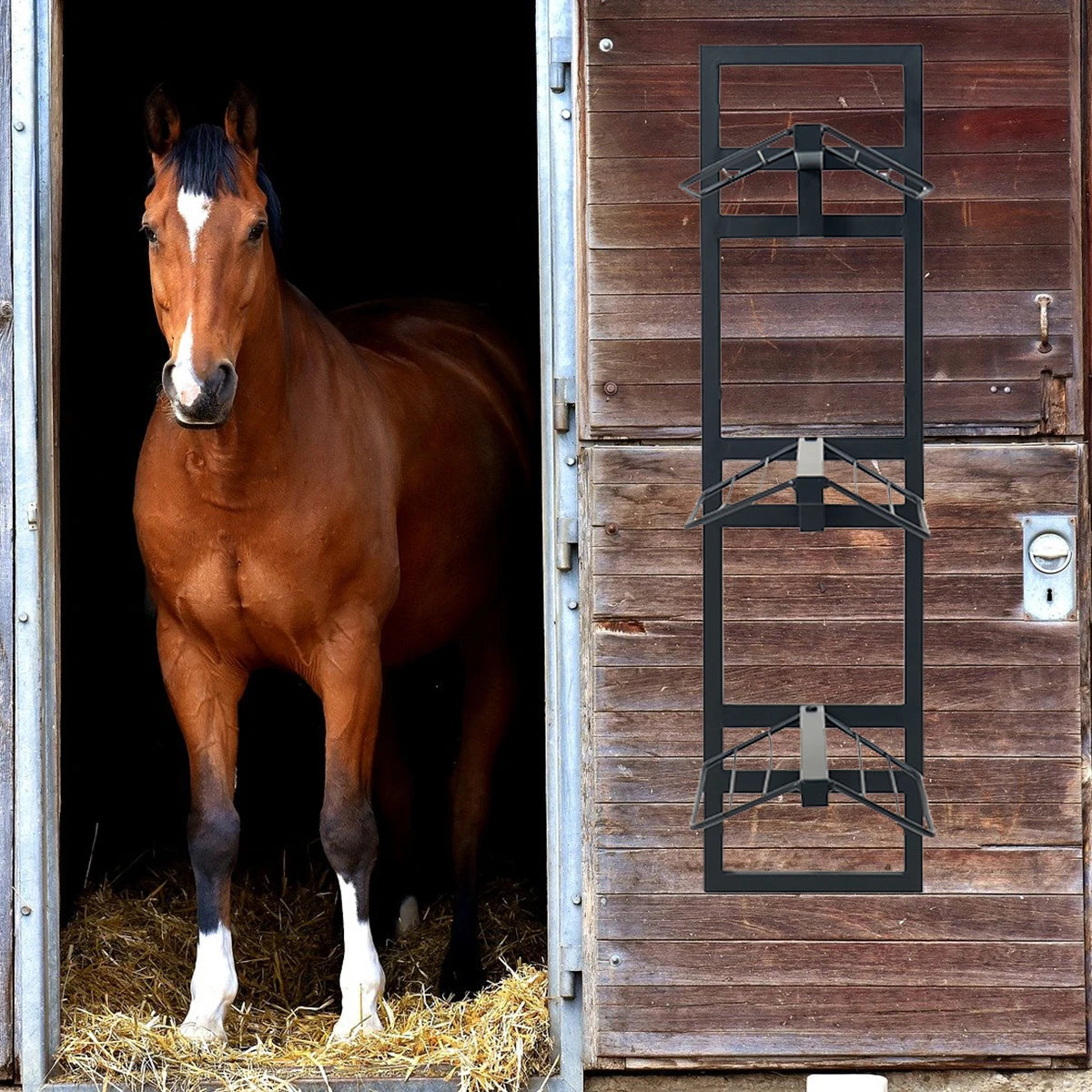 A brown horse is visible through a wooden gate next to a dark metal saddle rack.