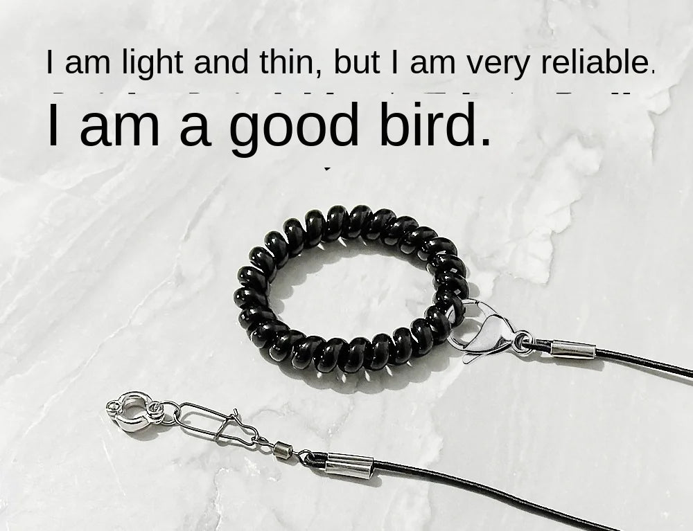 Elastic Parrot Training Leash with Metal Buckle