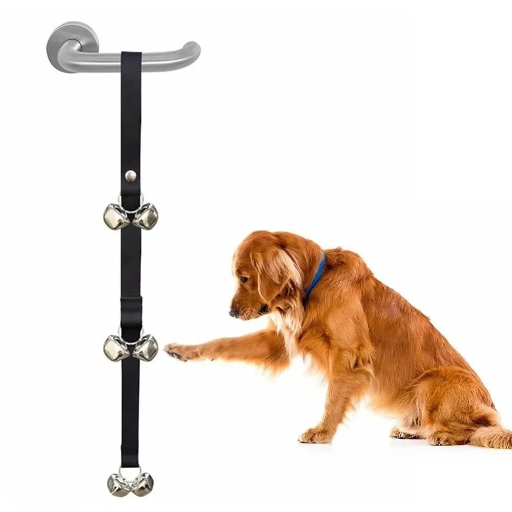 A brown dog is sitting next to a silver adjustable metal dog doorbell.