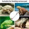 Stainless steel feeding tweezers used for various pets like turtles and lizards