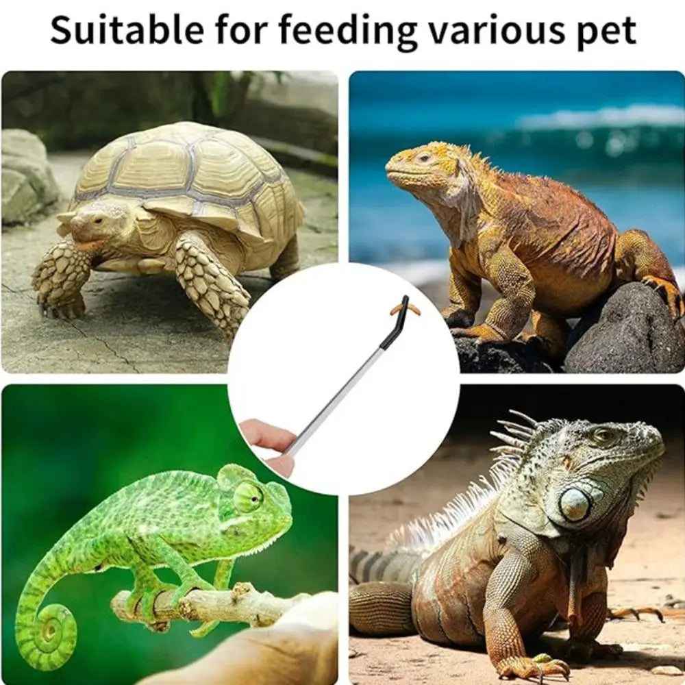 Stainless steel feeding tweezers used for various pets like turtles and lizards