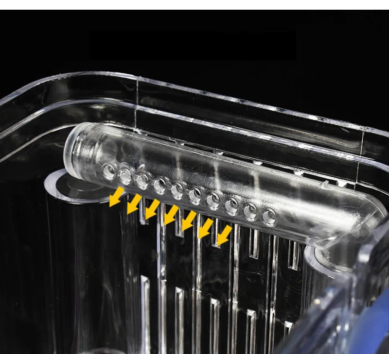 Cage d'isolement pour reproduction en aquarium
