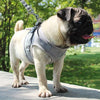 Verstellbares atmungsaktives Mesh-Hundegeschirr mit Leine