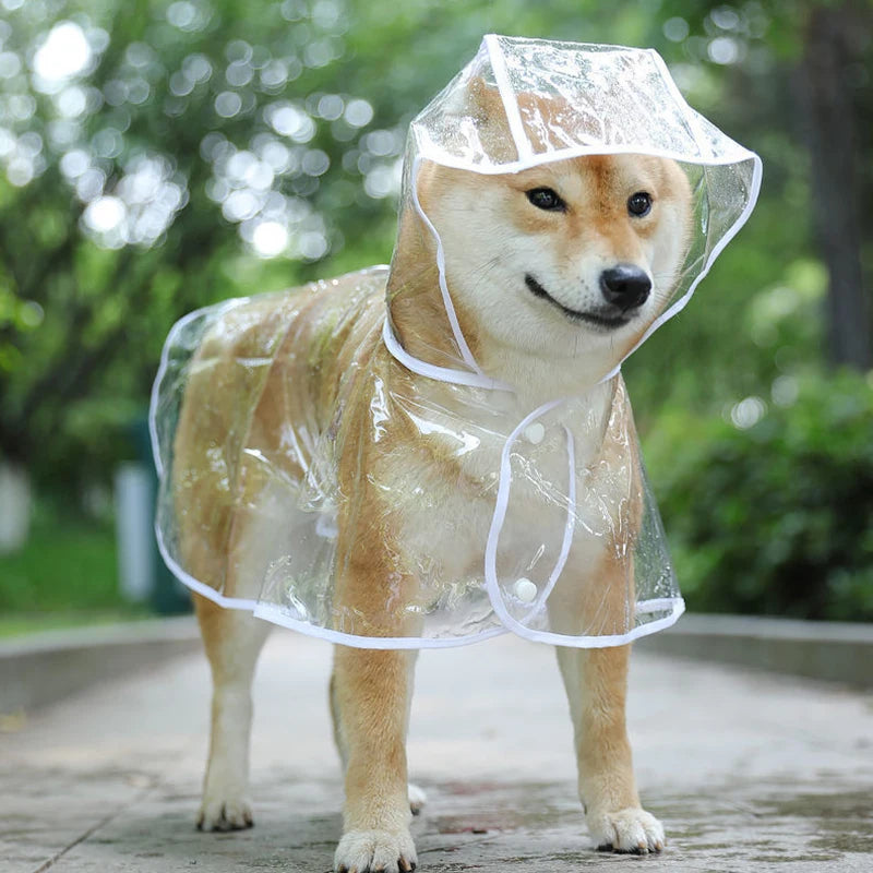 Impermeable con capucha para perros