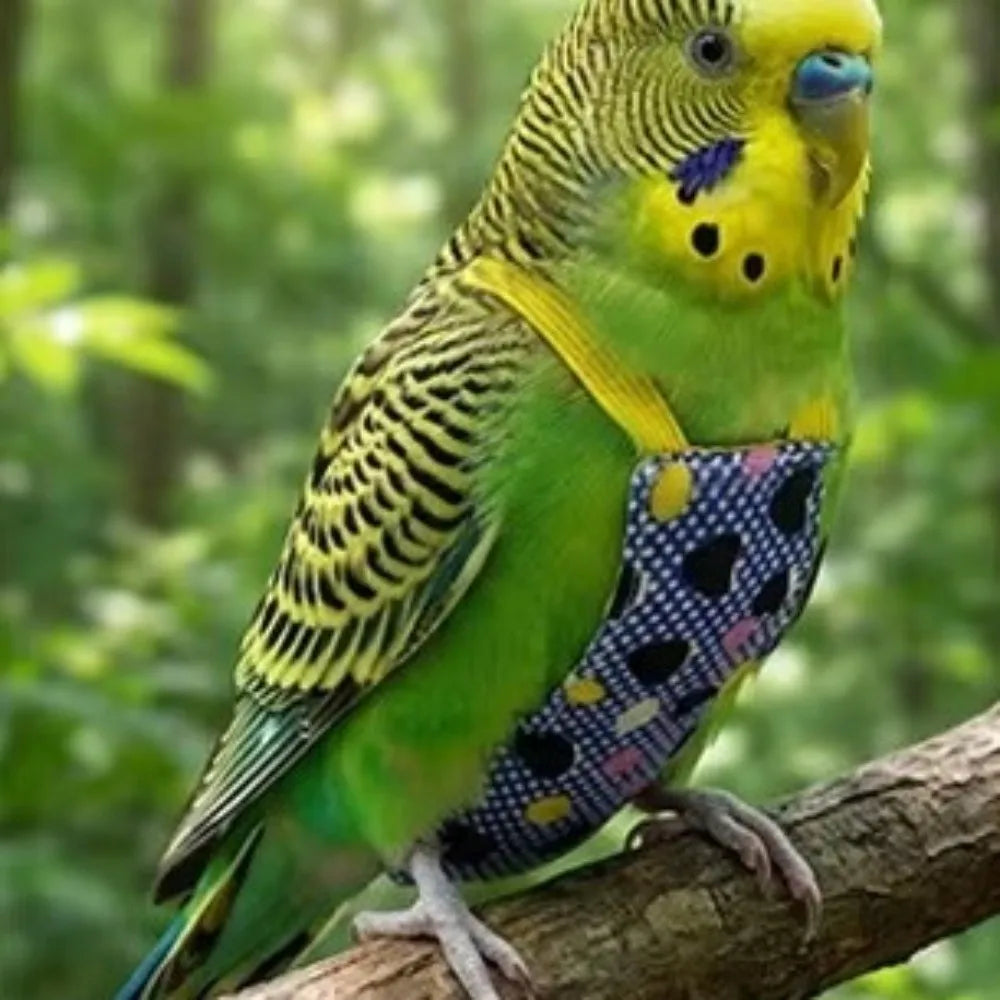 Breathable Parrot Flight Suit with Poop Pocket