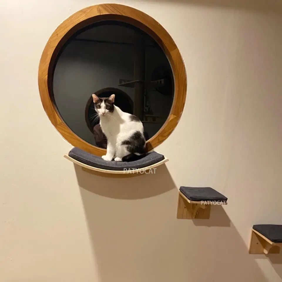 Wall-Mounted Cat Hammock and Climbing Stairs with Scratcher