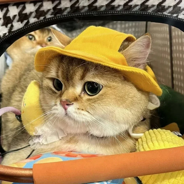 Sombrero de Sol para Mascotas con Agujeros para las Orejas