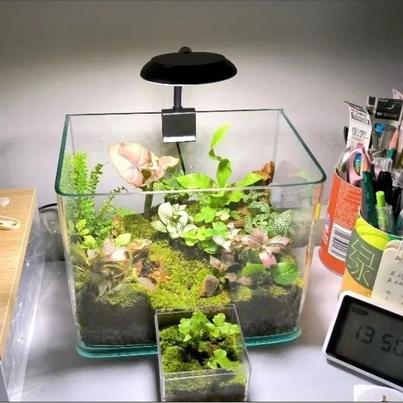 A clear glass aquarium containing moss and plants illuminated by a black clip-on LED light.