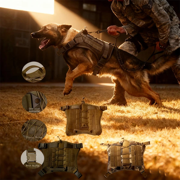 A dog wearing a tactical harness is being handled by a person outdoors.