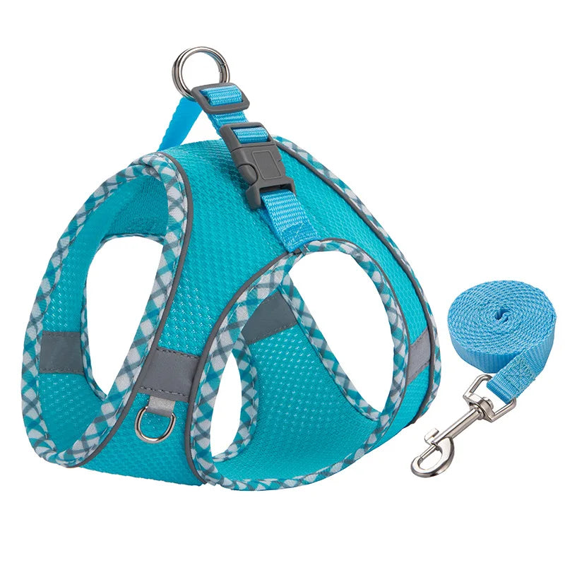 A bright blue reflective adjustable dog harness and leash set with gray and blue accents.