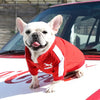 Chaqueta de Béisbol para Perros