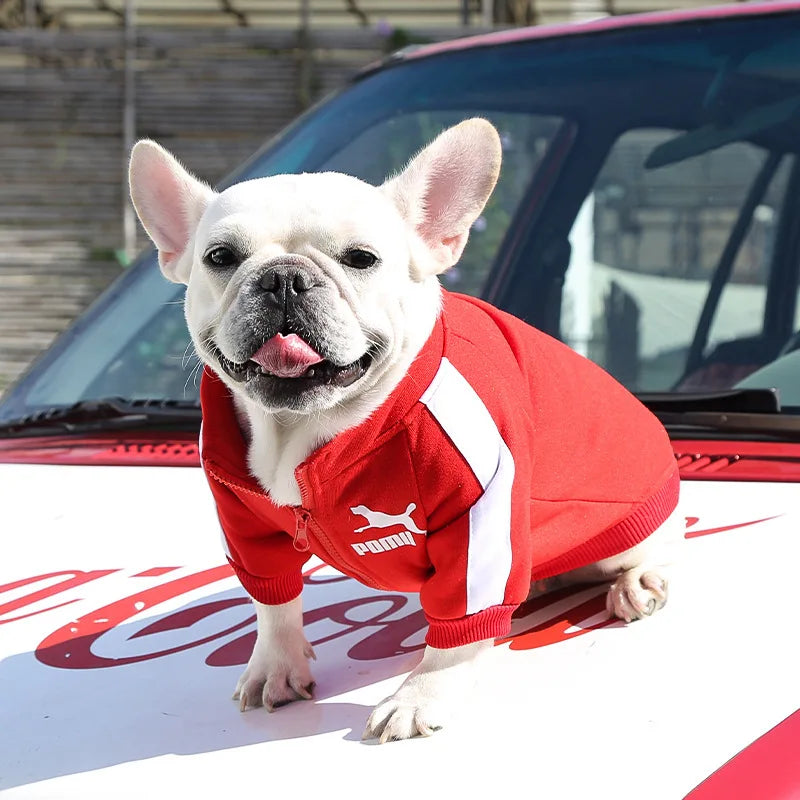 Chaqueta de Béisbol para Perros