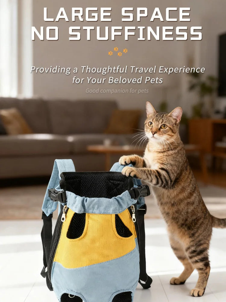 A tabby cat is standing next to a blue and yellow breathable mesh pet carrier backpack.