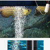 Pompe à Oxygène pour Aquarium Rechargeable par USB et Portable