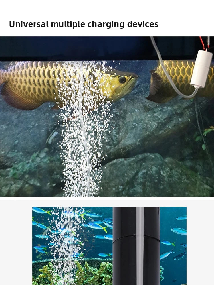 Pompe à Oxygène pour Aquarium Rechargeable par USB et Portable