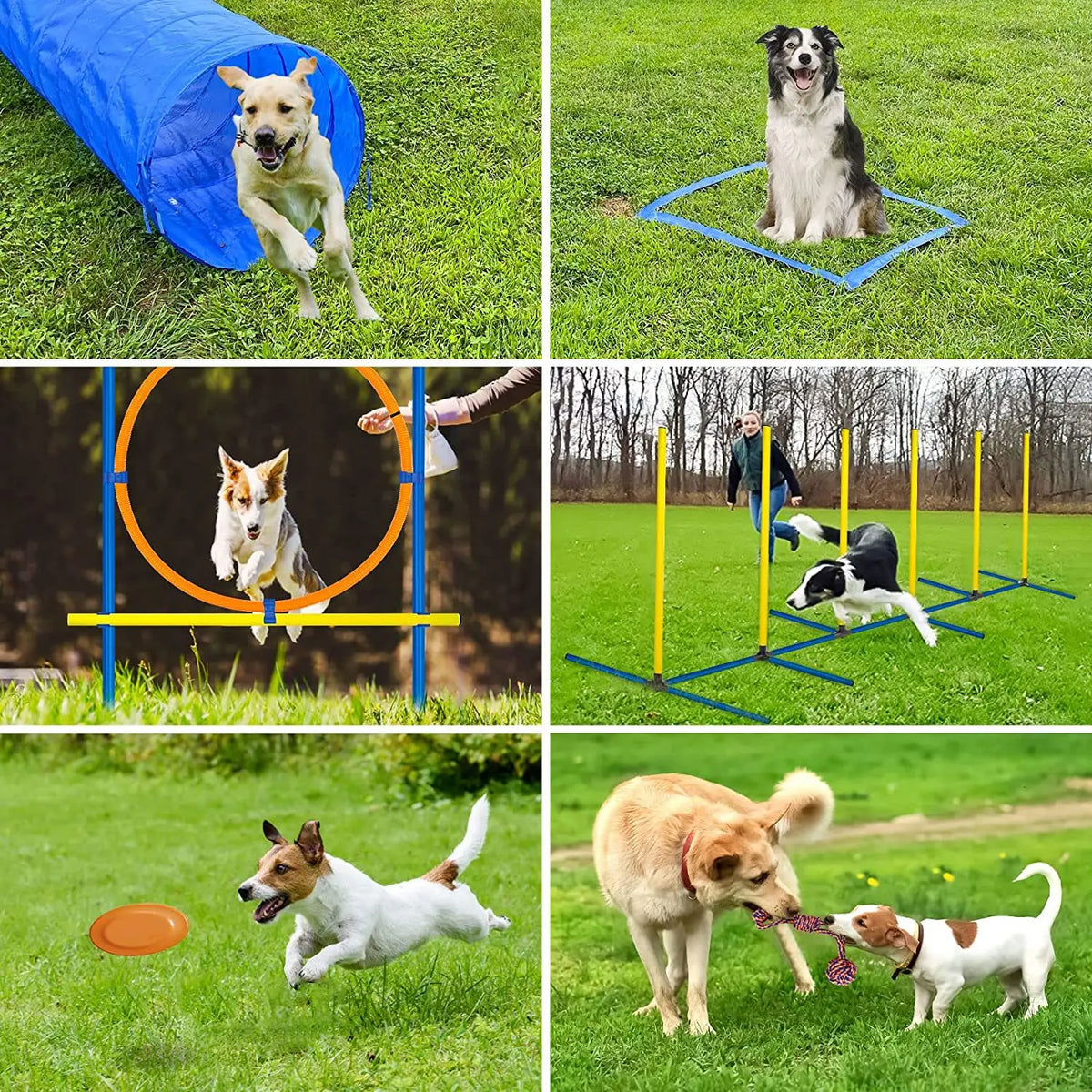 Un juego de barras de salto para perros ajustable y equipo relacionado para entrenamiento y ejercicio.