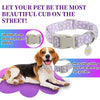A purple and white adjustable dog collar with a silver buckle and flower decoration shown next to a dog.