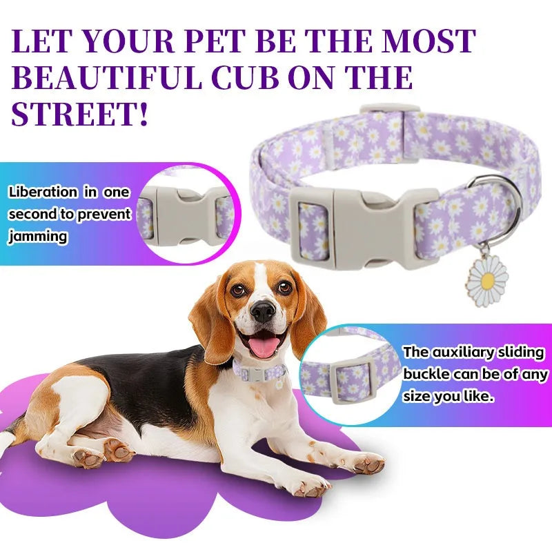 A purple and white adjustable dog collar with a silver buckle and flower decoration shown next to a dog.