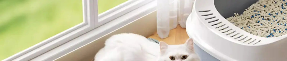 Heavy Duty Waterproof Cat Litter Mat with Non-Slip Base