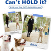 Verstellbare Hundetrainingshalsband aus Edelstahl