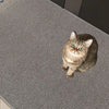 A fluffy gray tabby cat is lying on a gray sisal scratching mat.