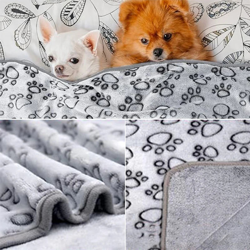 Un chiot orange et duveteux repose sur une couverture en fausse corail grise avec un motif de patte.