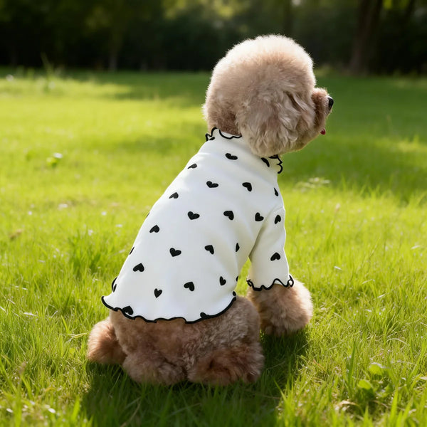 A light tan poodle wearing a white long-sleeved shirt with black heart patterns, lying in green grass.