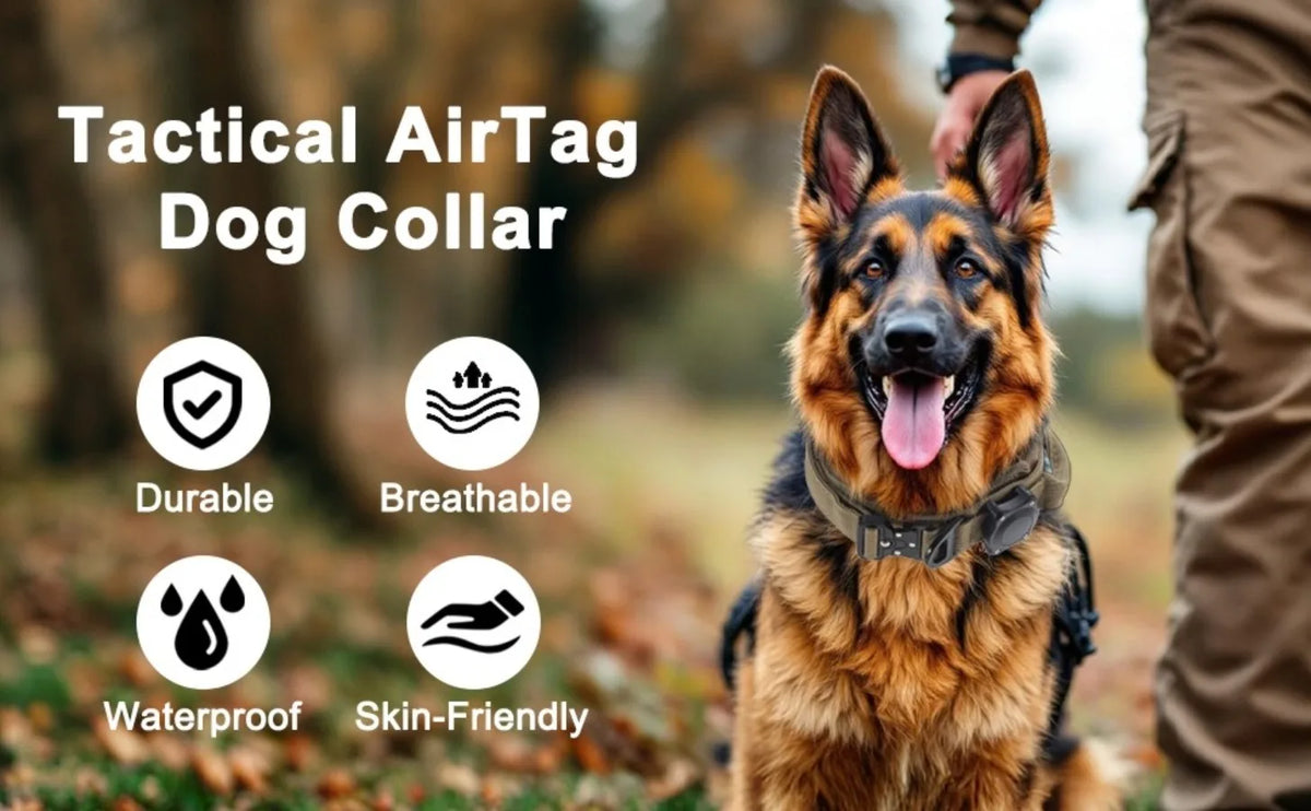A German Shepherd wearing a tactical dog collar with an AirTag holder and control handle outdoors.