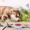 Recordable Talking Button for Dog Training – Interactive Communication Tool