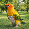 Breathable Parrot Flight Suit with Poop Pocket