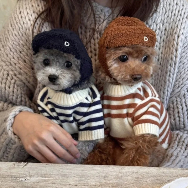 A small dog wearing a striped bear cardigan pet sweater and a cat wearing a brown knitted hat.