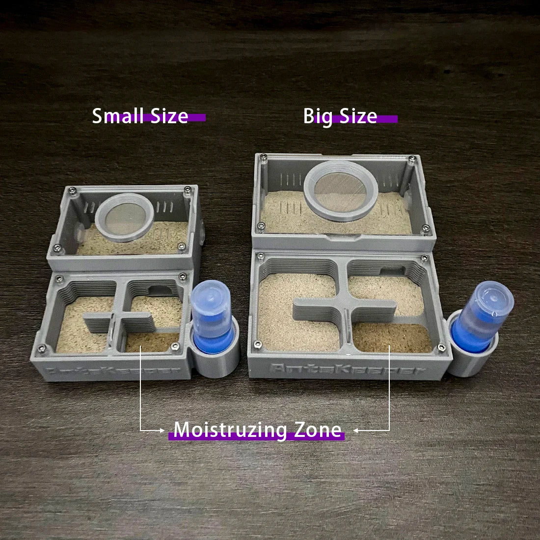 Two versions of an ant observation farm, small and big sizes, showing a moistrizing zone.