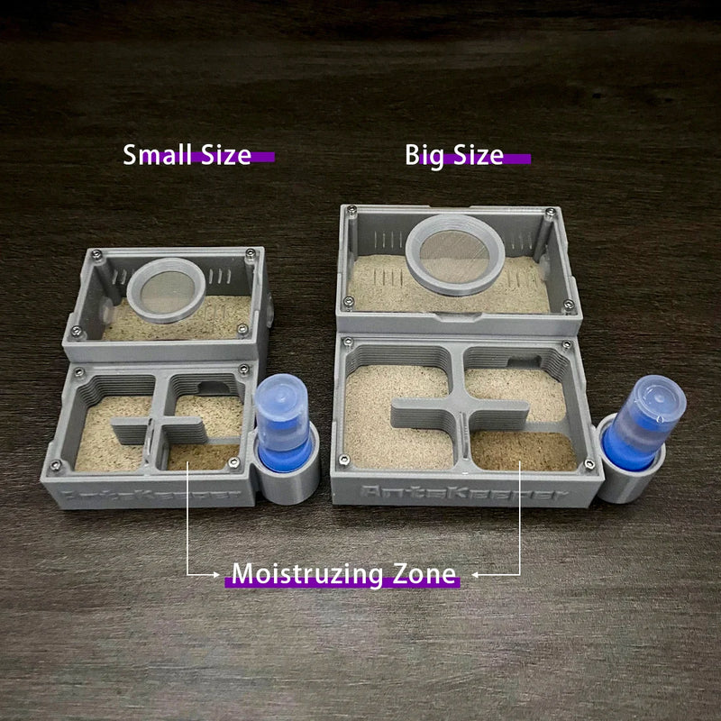 مزرعة النمل ذات الأربع أقسام مع غرف مستقلة