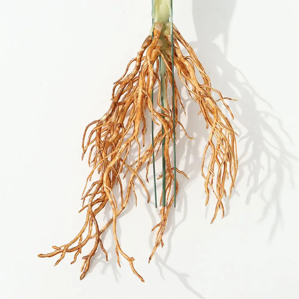 Artificial Hydroponic Plant with Visible Roots – Lifelike Greenery for Home & Event Decor